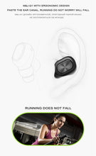 Load image into Gallery viewer, Micro Stereo Earbuds